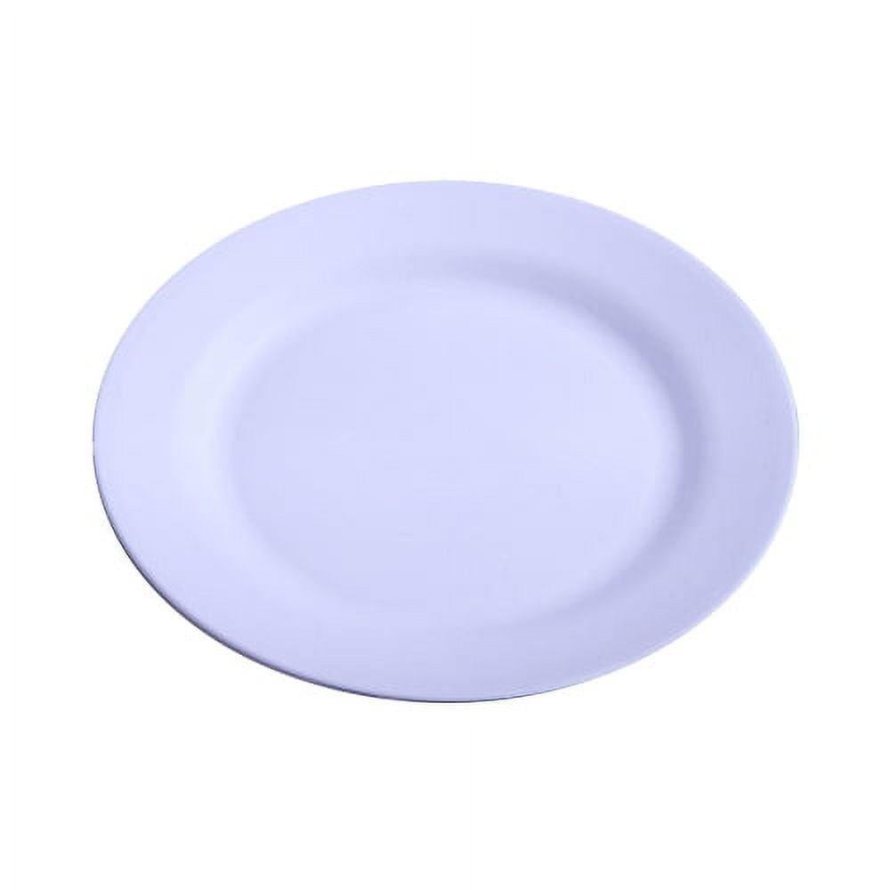 Sunjoy Tech 1PC Plastic Plates - Durable, Reusable, Food-Grade Dinner  Plates - Dishwasher %26 Microwave Safe Dinnerware – Plates Suitable for  Home