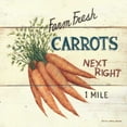 thumbnail image 2 of Brown, David Carter 20x20 White Modern Wood Framed Museum Art Print Titled - Farm Fresh Carrots, 2 of 4