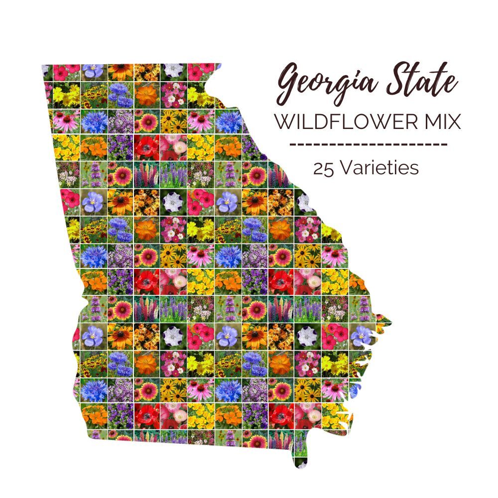 Eden Brothers Wildflower Mixed Seeds for Planting, 1/4 lb