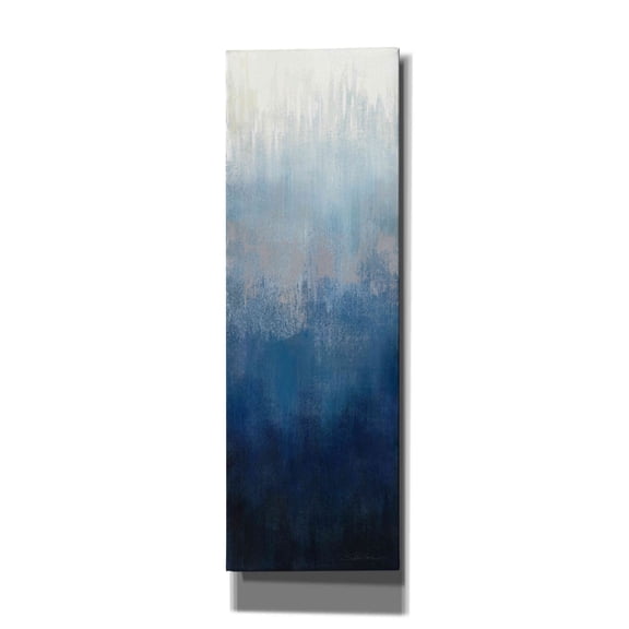 Epic Graffiti 'Silver Wave II' by Silvia Vassileva, Canvas Wall Art, 20"x60"
