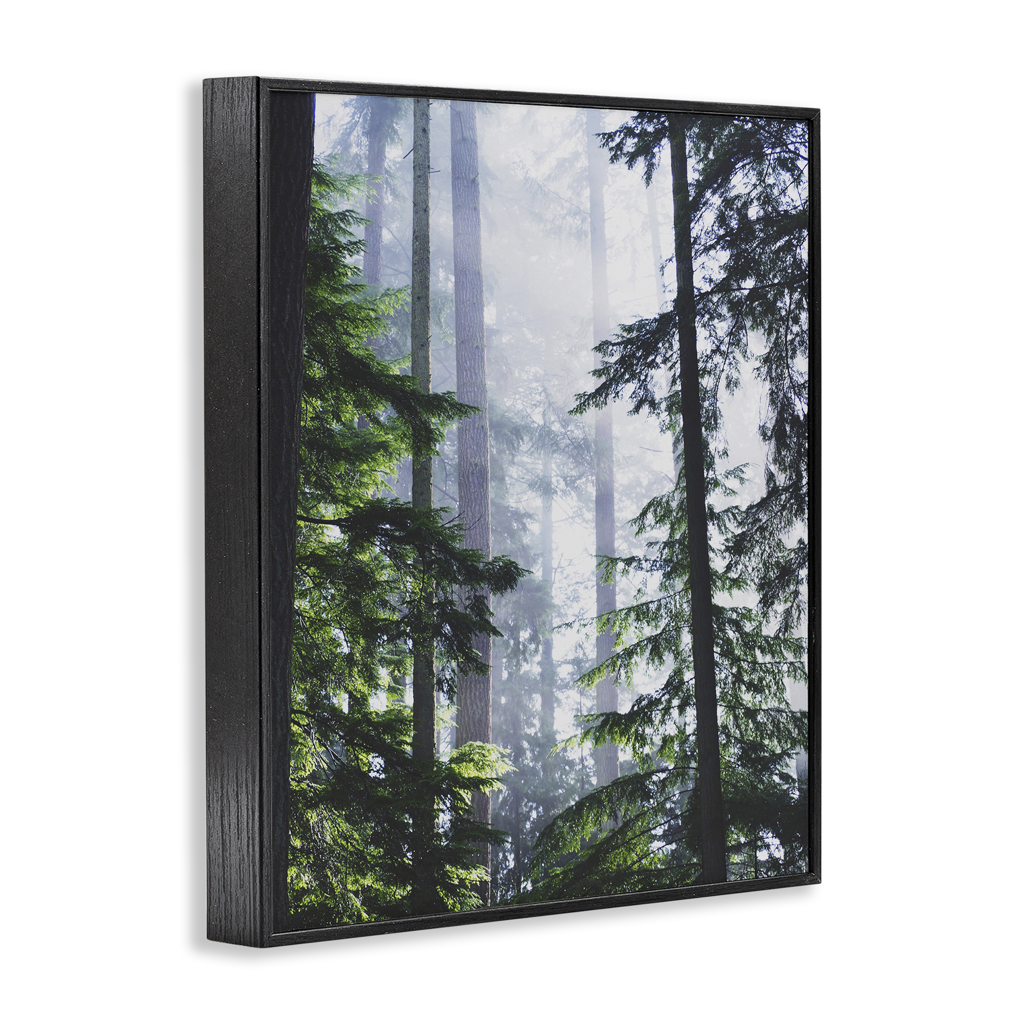 Stupell Industries Foggy Forest View Landscape Photography Black Framed Art Print Wall Art, 16 x 20