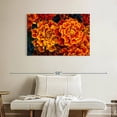 thumbnail image 2 of Elephant Stock Marigold Flowers Wall Art - Horizontal Canvas Wall Art - Living Room Wall Decor - Floral And Botanical Canvas - Orange And Teal Decor - 39" x 26", 2 of 8