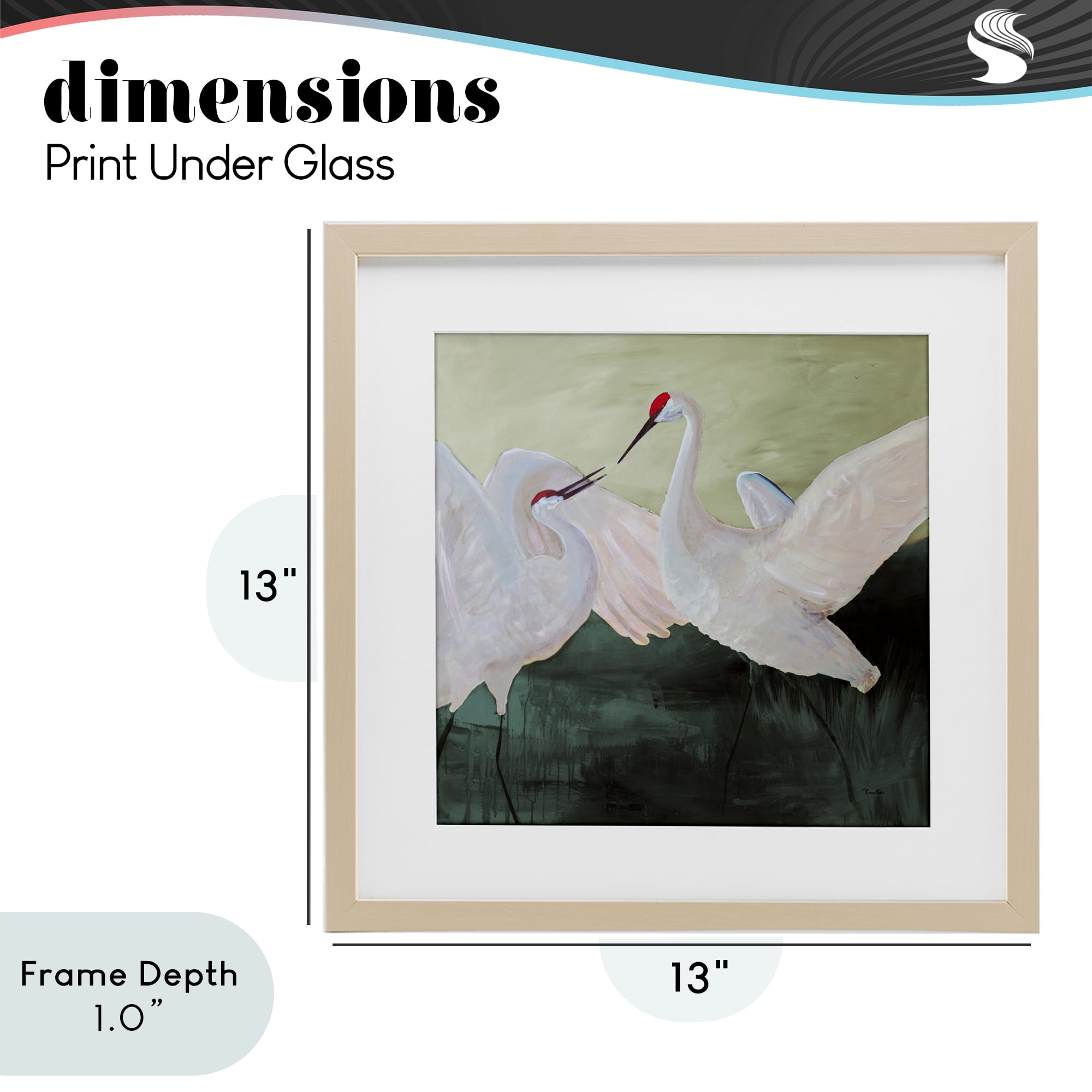 Stupell Industries White Sandhill Cranes Birch Framed Print Under Glass, design by Robin Maria