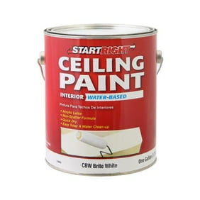 True Value Mfg Cbw 5gl Painter S Select Everyday 5 Gallon Brite White Flat Latex Ceiling Paint