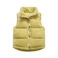 thumbnail image 2 of Puffer Vest for Toddler Boys Corduroy Vest Fleece Lined Button Up Warm Vest, 2 of 3