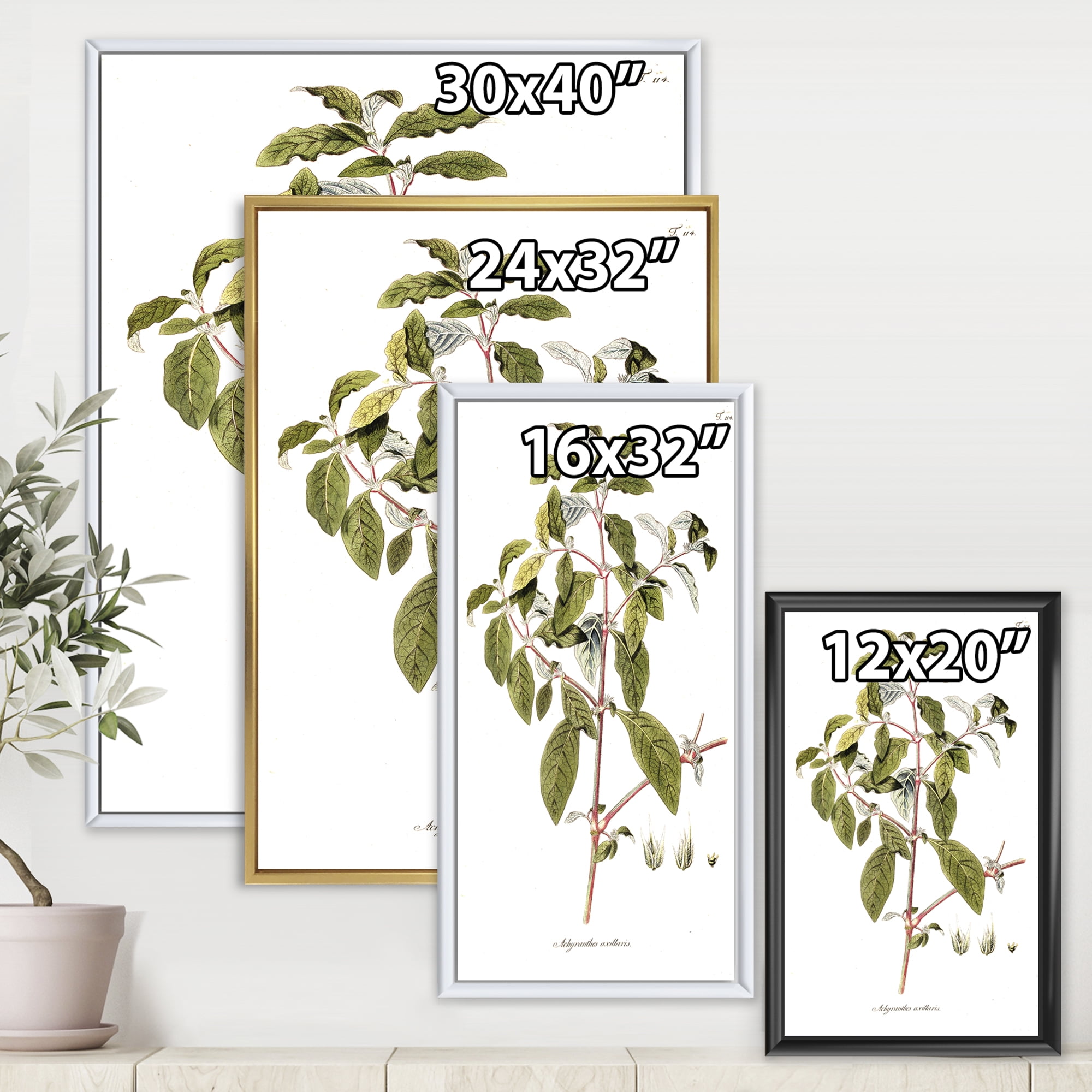 Designart 'Ancient American Flora IV' Traditional Framed Canvas Wall Art Print