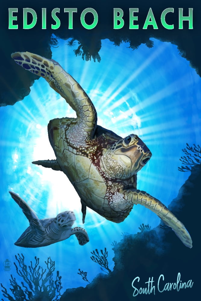 Edisto Beach, South Carolina, Sea Turtles Diving (36x54 Giclee Gallery