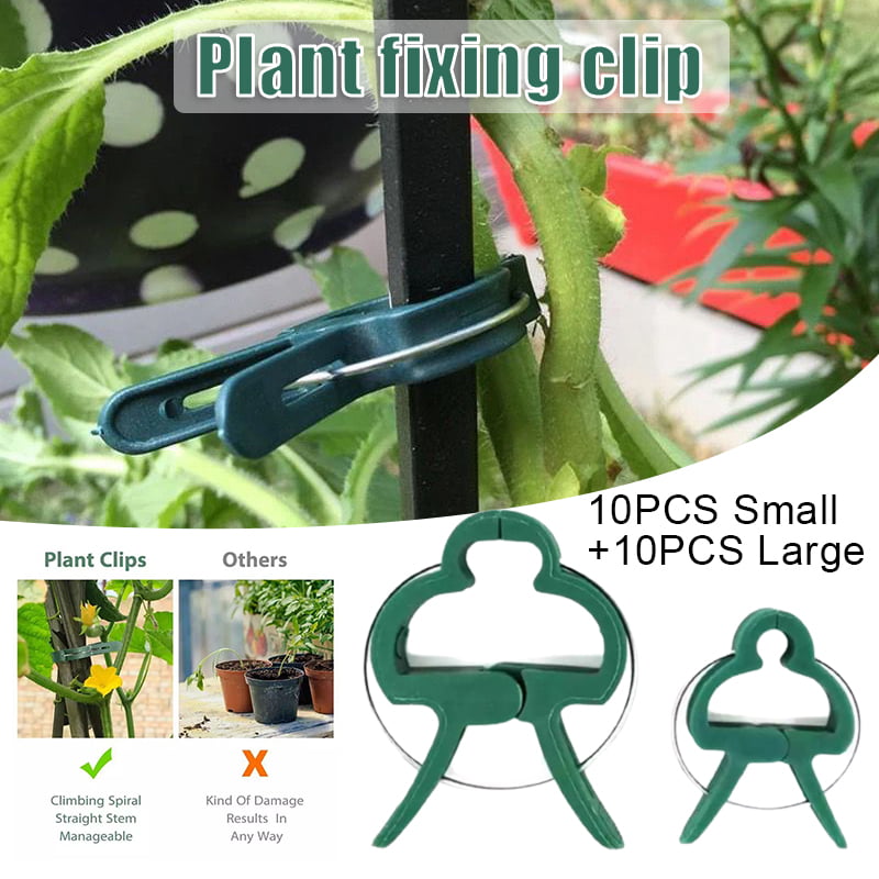 Fixed Plant Clips Flower Vine Tomato Support Clip Garden Spring Tools Reusable 