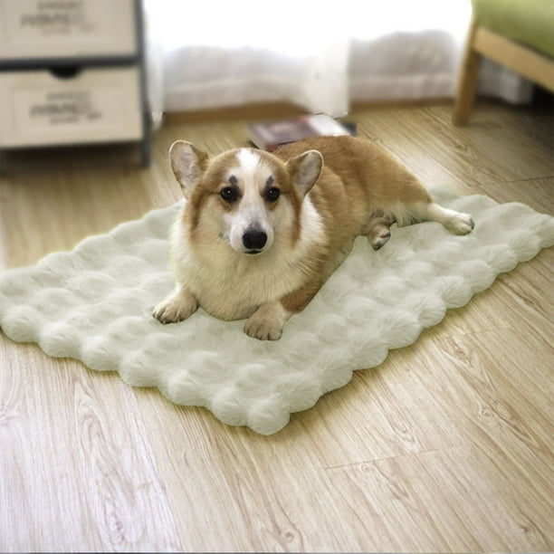 Decoración del hogar, decoración de habitaciones, decoración de paredes, tapete de lana para mascotas, tapete de invierno para perros, tapete cálido y grueso para dormir para gatos, manta para arena p