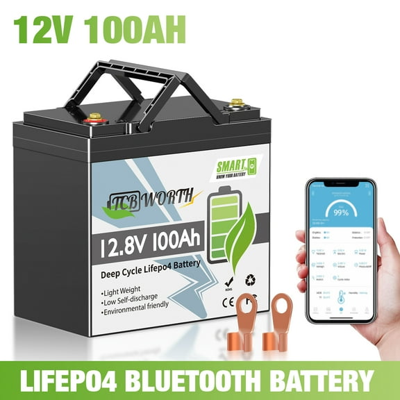 Mini 12V 100Ah LiFePO4 Lithium Battery Deep Cycle for RV Off-grid Trolling Motor