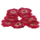thumbnail image 3 of 1 bolsa de flores secas (1) Planta natural seca para manualidades de scrapbooking y arte en papel Rosa roja, 3 of 9