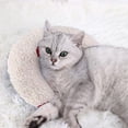 thumbnail image 4 of Cat Cozy Pillow 2023 New Cat Pillows for Indoor Cats Soft Fluffy Cat Calming Pillows Pet Sleeping Comp, 4 of 4