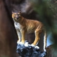 thumbnail image 3 of Ebros Gift Figurine Réaliste Grand Chat Cougar sur Roche en Résine Statue 8.25 Pouces H, 3 of 6