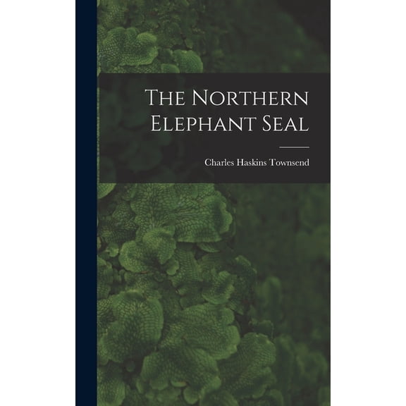 The Northern Elephant Seal (Hardcover)