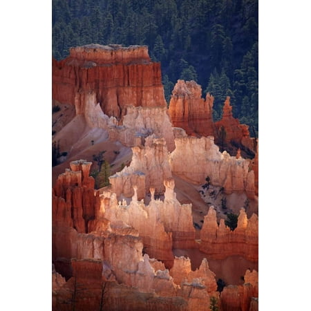 Utah, Bryce Canyon National Park, Hoodoos in Bryce Amphitheater Print Wall Art By David (Best Canyons In Utah)