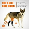 thumbnail image 5 of Dog Rear Leg Hock Brace, Rear Hock Joint Support With Safety Reflective Straps For Pet Wound Healing, Injuries, Sprains From Arthritis, 5 of 5