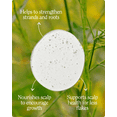 thumbnail image 4 of California Naturals Re:GRO Anti-Thinning Shampoo, 16.5 fl oz, 4 of 7