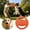 Orange, variant on TYShandao Dog Frisbee