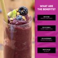Pitaya Foods Frozen Organic Unsweetened Acai Fruit Smoothie Mix Packs