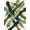 Green, Pattern 3, variant on ODIKA 4'x6' Machine Washable Non-Slip Area Rug, Abstract Green High Traffic Rug, Green, 1120099