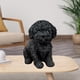 thumbnail image 3 of Figura creativa de perro, estatua de animal, escultura de resina, para mesa, sala de estar o cualquier espacio del hogar. Negro, 3 of 9