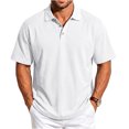 thumbnail image 2 of Fanshiluo Men's Checkered Print Short Sleeve Polo Shirt, Casual Collared Golf T-Shirt,Size:L,Big and Tall Men, 2 of 7