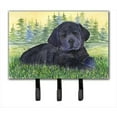 thumbnail image 1 of Carolines Treasures SS8343TH68 Labrador Leash Holder Or Key Hook, 1 of 1