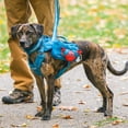 thumbnail image 6 of Kurgo Dog Hydration Flask, Detachable Molle Compatiable Water Pouch, RSG, Coastal Blue, 6 of 6