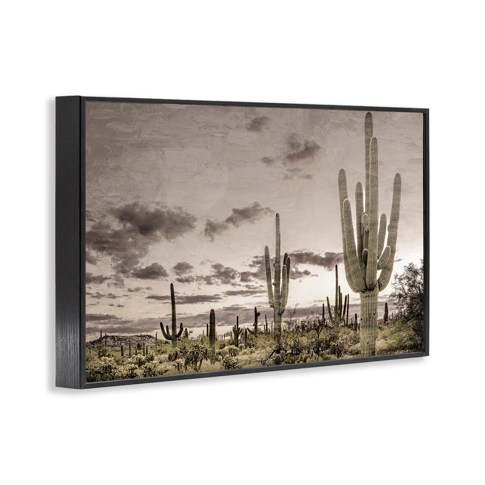 Stupell Industries Desert Sky Wilderness Black Framed Giclee Art, design by Kim Allen