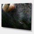thumbnail image 3 of Designart ' Close-Up Of Eye Fighting Bull Head ' Farmhouse Canvas Wall Art Print, 3 of 4