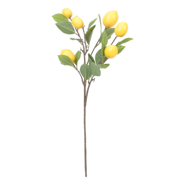 KAKOWELY Jarrón de limón realista, decoración de ramas de plástico para arreglos florales.