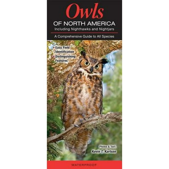 Pre-Owned Owls of North American Including Nighthawks and Nightjars: A Comprehensive Guide to All Species (Paperback) by Kevin T Karson