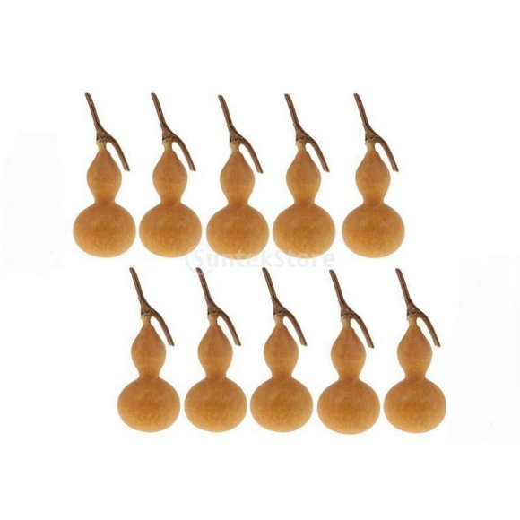 CNKOO 10Pcs Natural Dry Gourd Bottle Gourd 5-6cm Gourds Mini Fruits Table Ornaments Vase Filler Bowl Displays Wedding Party