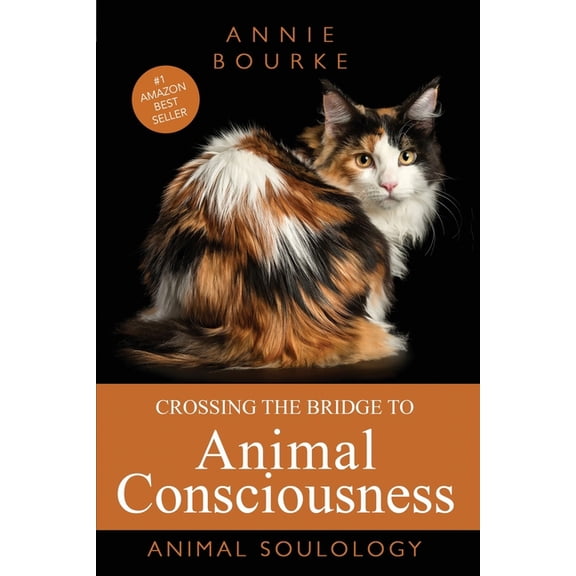 Crossing the Bridge to Animal Consciousness: Animal Soulology, (Paperback)