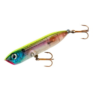Heddon X9236-22 Super Spook Jr, 1/2-Ounce, 3-1/2-Inch, Chartreuse Black  Head : : Sports, Fitness & Outdoors