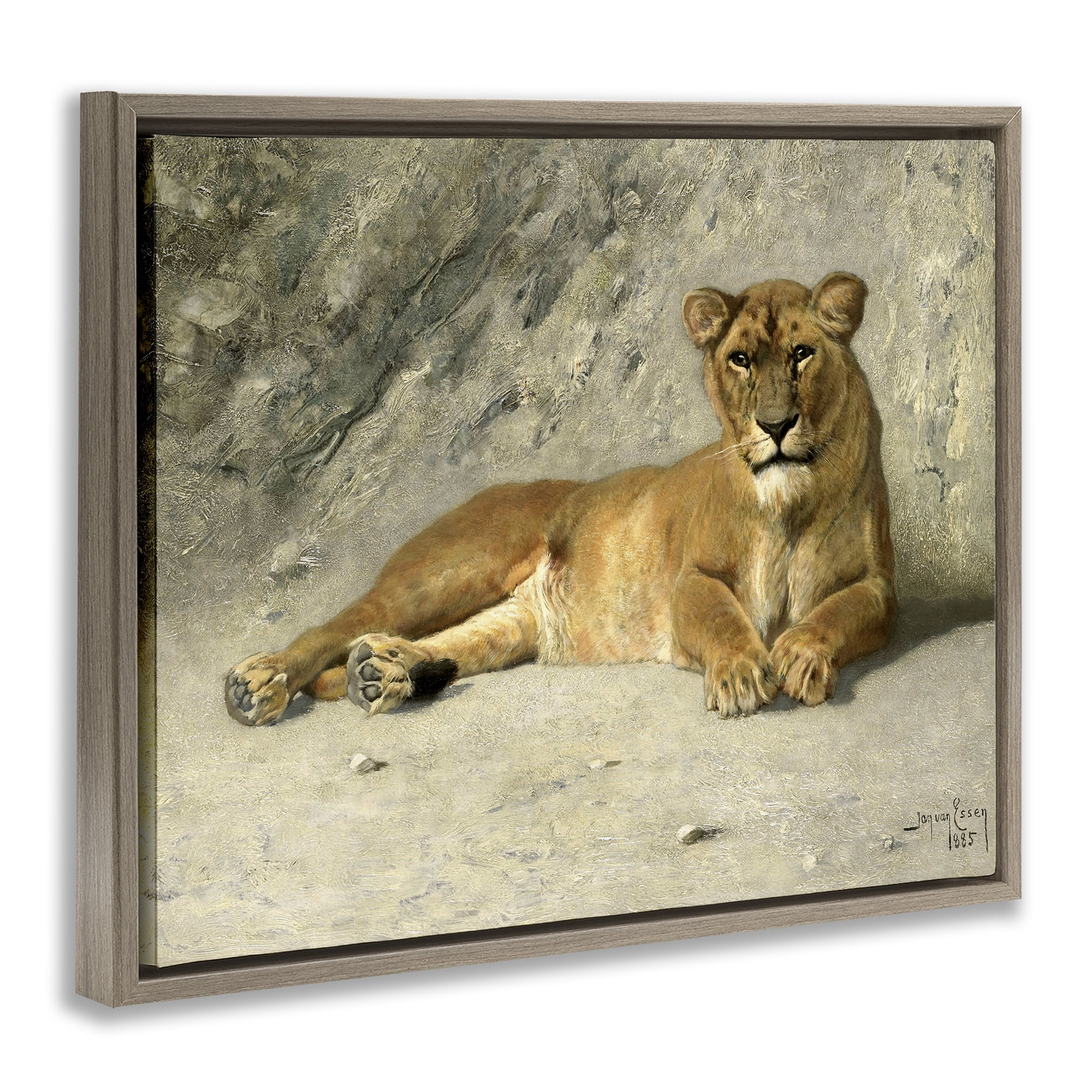 Stupell Industries Protective Wild Lion Animals Photography Brown Floater Framed Canvas Art Print Wall Art, 31 x 25