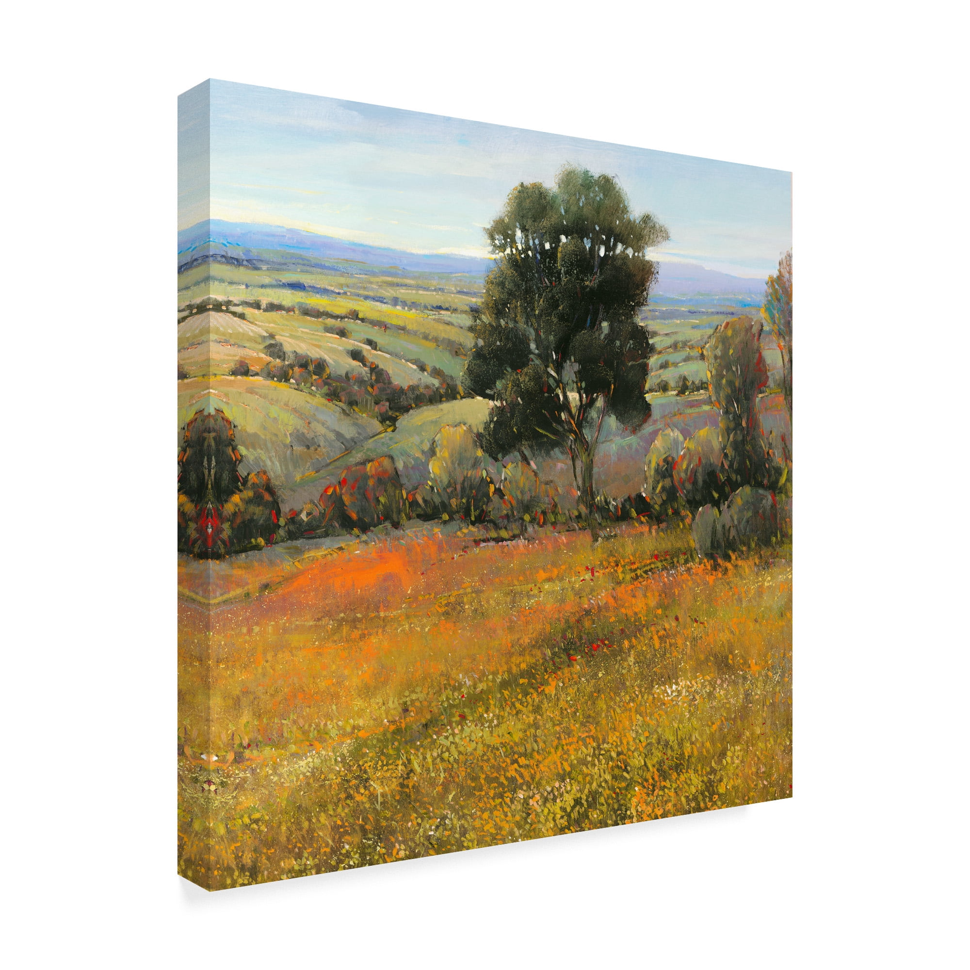 Trademark Fine Art 'Field in Summer' Canvas Art by Tim OToole