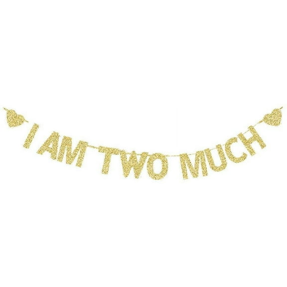 I AM Two Much Banner, Girls/Boys/Kids' 2nd Bday Sign, Gold Gliter Paper Garlands for 2 Years Old Birthday Party