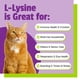 thumbnail image 4 of Suplemento de lisina para gatos de Pet Naturals, 60 unidades masticables, 4 of 5