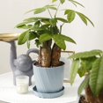 thumbnail image 4 of 5 Pack Plastic Flower Pots, Planter Holder Nordic Style Garden Pots Plant Containers with Base Bracket (Blue), Small 13.8*12.5cm, 4 of 4