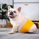 thumbnail image 4 of Pañales para perros macho, pañales lavables para cachorros, pantalones fisiológicos sanitarios duraderos para perros, 3 uds. (M) Rojo Verde MX-0127973FYD, 4 of 5