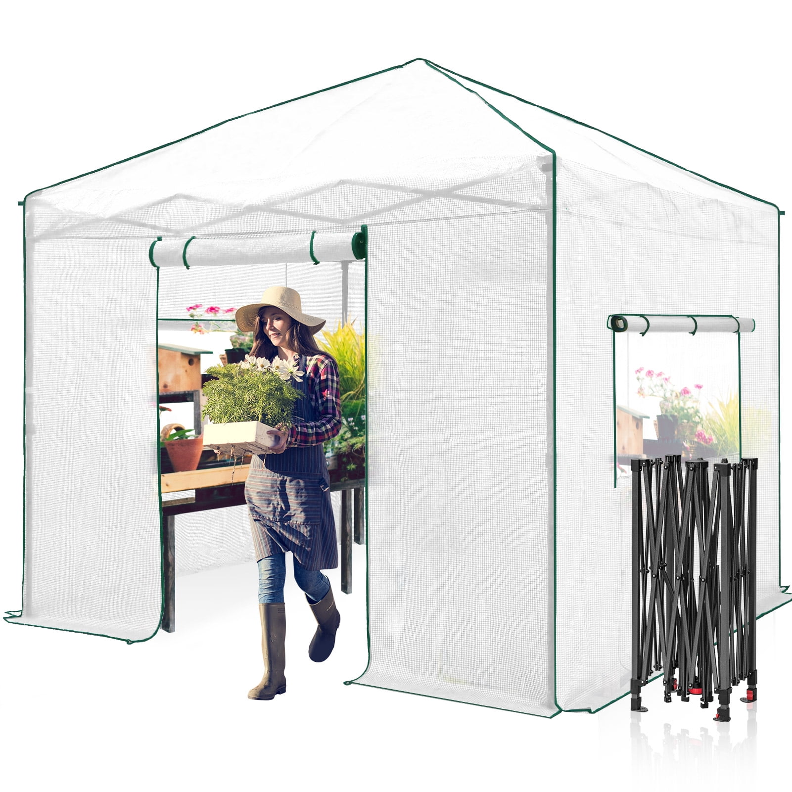 EAGLE PEAK 10'x 10' Portable Walk-in Greenhouse Instant Pop-up Easy Setup Indoor Outdoor Plant Gardening Green House Canopy, Front and Rear Roll-Up Zipper Entry Doors and 2 Large Roll-Up Side Windows