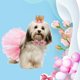 thumbnail image 5 of Suministros de fiesta de moda, falda tutú, regalo rosa para perros pequeños, gatos, mascotas, vestido de fiesta de cumpleaños, corona, sombrero, collar, conjunto de cumpleaños, gato, perro (rosa) XianweiShao 9024735003533, 5 of 5