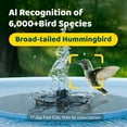 thumbnail image 5 of Birdfy Bird Bath with Camera, Solar Powered, Round Pond Fountain, 1080P HD Bird Camera Auto Capture Bird Bath Videos, Blue, 5 of 11