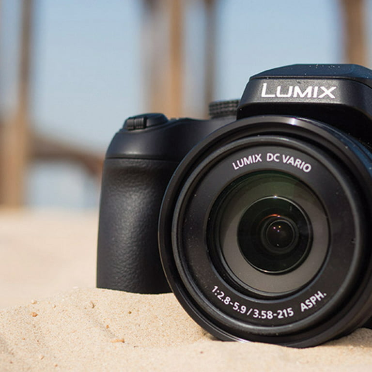 Lumix DC-FZ80 18.1 Megapixel Bridge Camera -