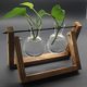 thumbnail image 2 of 2 Vasen Soporte de madera Deco con jarrón de cristal hidropónico, florero colgante, florero de mesa, florero decorativo, 2 of 2