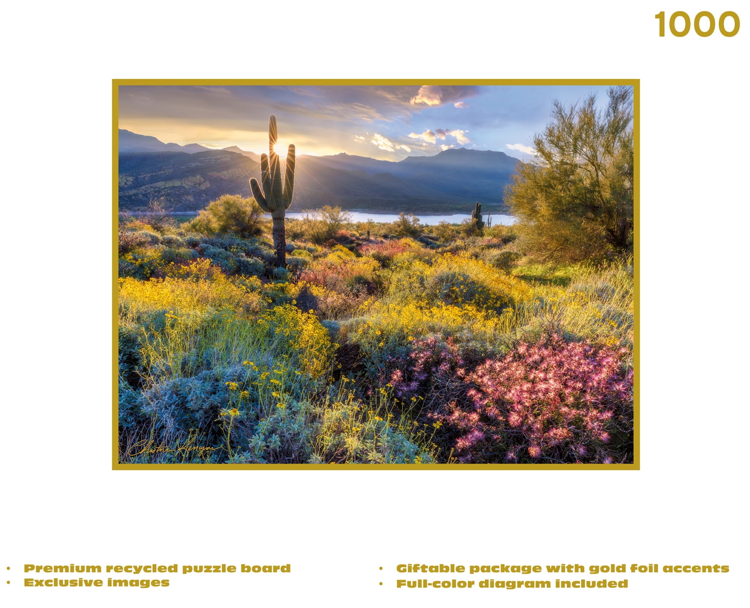Buffalo Games 1000-Piece Gold Collection Desert Dawn Jigsaw Puzzle