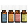 thumbnail image 2 of Aura Cacia Journey to Diffusion Pure Essential Oil Diffusion Blends Kit, 0.25 fl oz Bottles (4 Pack), 2 of 3