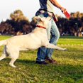 thumbnail image 6 of vecelo Bear shaped Dog Chew Toy Medium Dogs, Interactive Toys for Dogs Training Dental Care Dog Toys, 6 of 7
