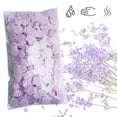 thumbnail image 3 of 1000x Mini Jabon Papel Lavado A Mano Sunnimix Espuma Rápida Para Viajes Senderismo Lavanda, 3 of 8